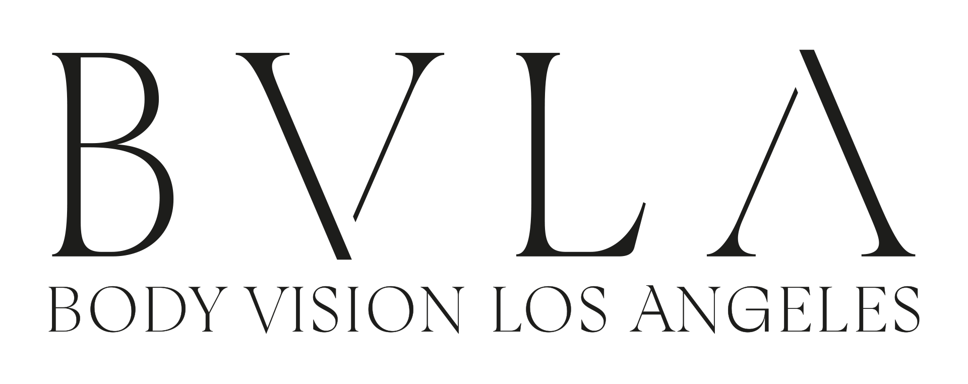 Body Vision Los Angeles